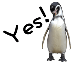 Penguin's time sticker sticker #14094022