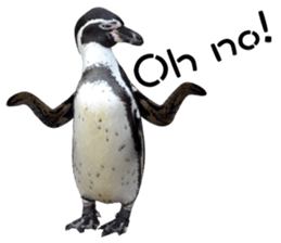 Penguin's time sticker sticker #14094023