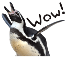 Penguin's time sticker sticker #14094025