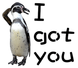 Penguin's time sticker sticker #14094026