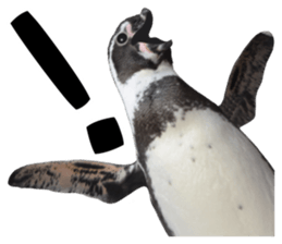 Penguin's time sticker sticker #14094029