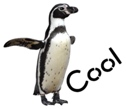 Penguin's time sticker sticker #14094031