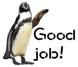 Penguin's time sticker sticker #14094032