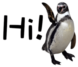 Penguin's time sticker sticker #14094034