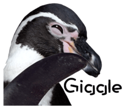 Penguin's time sticker sticker #14094035