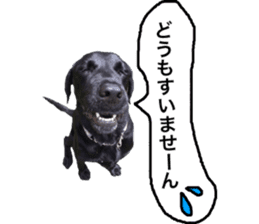 Black Labrador ELLE sticker #14094373