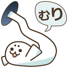 Baby seal from the hole