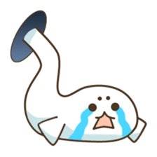 Baby seal from the hole sticker #14094404