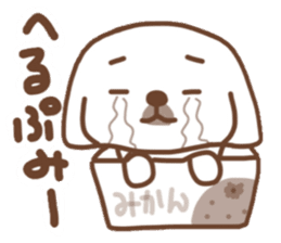 Pekingese TONTON sticker #14097885