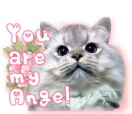 RuRu's cats. sticker #14099138