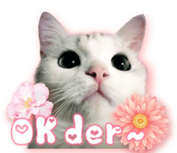 RuRu's cats. sticker #14099143