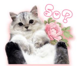 RuRu's cats. sticker #14099145