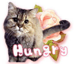 RuRu's cats. sticker #14099148