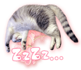 RuRu's cats. sticker #14099150