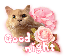 RuRu's cats. sticker #14099151