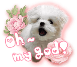 RuRu's cats. sticker #14099154