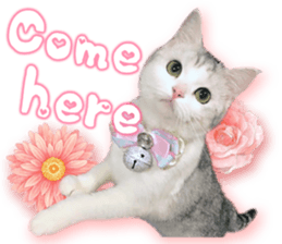 RuRu's cats. sticker #14099157