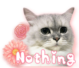 RuRu's cats. sticker #14099161