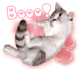 RuRu's cats. sticker #14099162