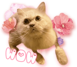 RuRu's cats. sticker #14099163