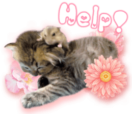 RuRu's cats. sticker #14099165