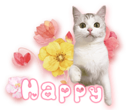 RuRu's cats. sticker #14099167