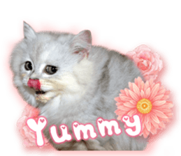 RuRu's cats. sticker #14099171