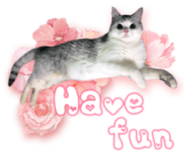 RuRu's cats. sticker #14099172