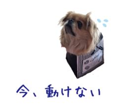 mix dog mimo sticker #14099495