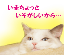 It is cat of my home sticker #14099652