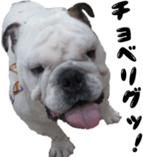 a little old-fashioned dogs' stickers sticker #14099942