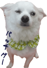 a little old-fashioned dogs' stickers sticker #14099944