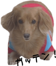 a little old-fashioned dogs' stickers sticker #14099945