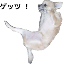 a little old-fashioned dogs' stickers sticker #14099946