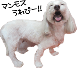 a little old-fashioned dogs' stickers sticker #14099947