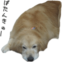 a little old-fashioned dogs' stickers sticker #14099948