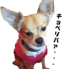 a little old-fashioned dogs' stickers sticker #14099949