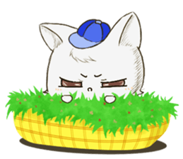 QQ fox-happy time sticker #14100345