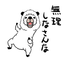 smiling alpaca sticker #14100431