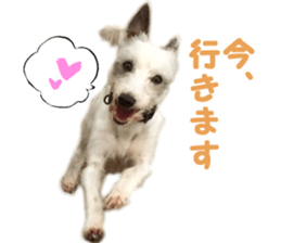 Mr Sora sticker #14100710