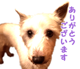 Mr Sora sticker #14100711