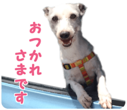 Mr Sora sticker #14100712