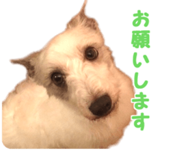 Mr Sora sticker #14100713