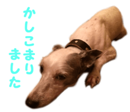 Mr Sora sticker #14100714