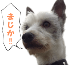 Mr Sora sticker #14100715