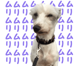 Mr Sora sticker #14100716