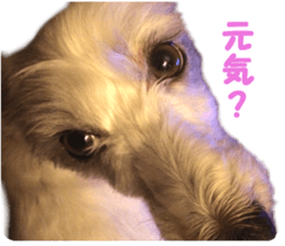 Mr Sora sticker #14100717