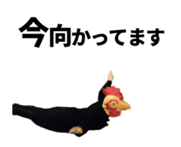 Birdman's New Year sticker #14100765