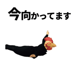 Birdman's New Year sticker #14100765