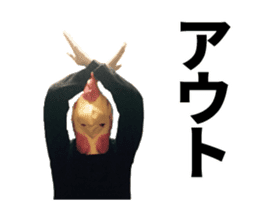 Birdman's New Year sticker #14100777